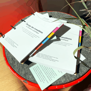 Édition du mémoire design des transitions et médiation scientifique sous forme de carnet scientifique avec des intercalaires pour séparer les parties